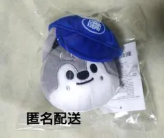 StrayKids KARMA POPUP ウルフチャン キーリング