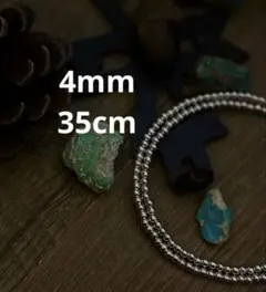 ericka nicolas begay