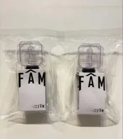 FAM ペンライト 2個セット
