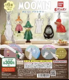 MOOMIN めじるしアクセサリー 全6種 コンプ ムーミン