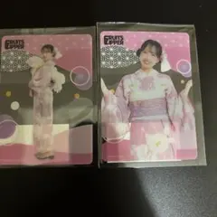 FRUITS ZIPPER 松本かれん クリアカード 2点セット