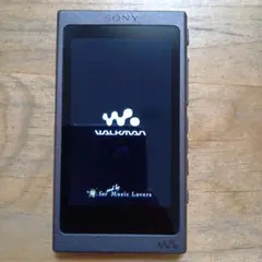SONY - SONY NW-A45HN 中古 美品 オマケSDカードつき SONY NW-A45HN 中古 美品 オマケSDカードつき