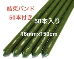 リン様専用⑥オリジナル 鋼管支柱 50本入り 16mm×150cm