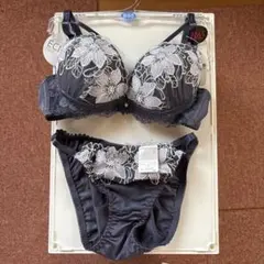 ブルーブラック花柄刺繍 B65 ブラショセット