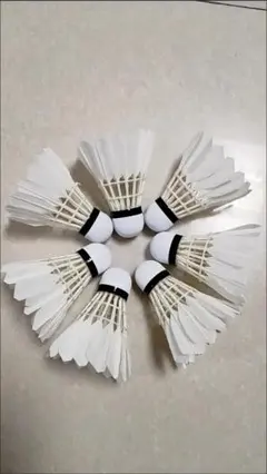 Item thumbnail for item c44cc9bb-cc34-4dc6-ba95-870a4fa44fdc