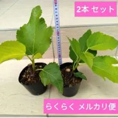 2026年最新】メルかり＠まとめ買いの人気アイテム - メルカリ