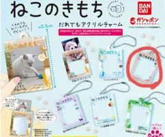 ねこのきもち だれでもアクリルチャーム