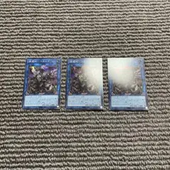 鎖龍蛇ースカルデット　3枚