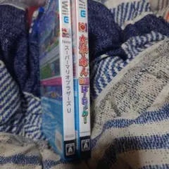 WIIU２本セット
