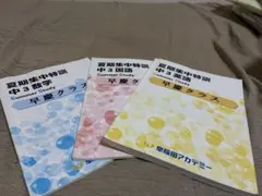 早稲田アカデミー 早慶必勝 夏期集中特訓 中3 英語 国語 数学 3冊