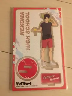 ハイキュー 黒尾鉄朗 水遊び アクスタ アクリルスタンド