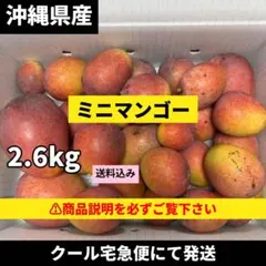 沖縄産 ミニマンゴー 2.6kgのサムネイル
