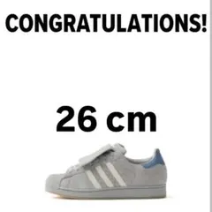 adidas DAIKI TSUNETA POINTLESSJOURNEYグレー - メルカリ
