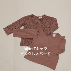 ブラウン レオパード柄 トップス 2点セット