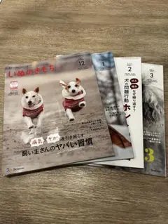 いぬのきもち 2023年　1年分　12冊セット　まとめ売り　付録付き いぬのきもち2025.5付録冊子付き - メルカリ