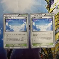 スカイフィールド