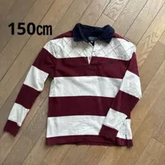 ストライプ 長袖ポロシャツ