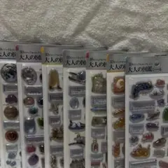【正規品】　大人の図鑑3dシール　7枚セット