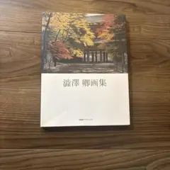 澁澤卿（しぶさわけい) 画集