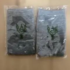 Item thumbnail for item a0e54d43-0e49-4fb9-a80a-c82cd700e240