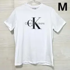 カルバンクライン Ｔシャツ M カットソー 半袖 ロゴ プリント 白 ホワイト