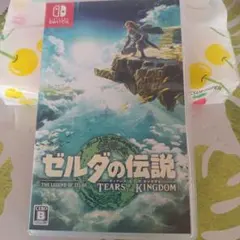 ゼルダの伝説 ティアーズ オブ ザ キングダム