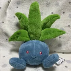 新品未使用】 ポケットモンスター やさしいきもち ぬいぐるみ