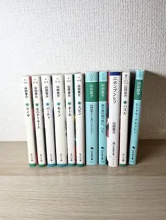 山田悠介 文庫本 11冊セットのサムネイル