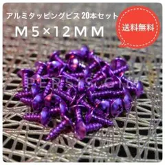 アルミタッピングビス20本 紫 ジョグZRマジェスティシグナスXJOGアクシス