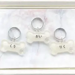 Item thumbnail for item 11ffcb40-6550-4eb8-944c-cc07626c4dc1