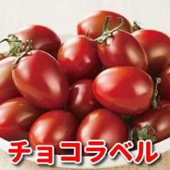 KEIKO様 リクエスト 3点 まとめ商品