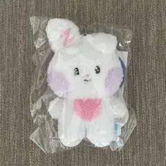 newjeans NJZ ニュージーンズ bunny バニー トッキ - メルカリ