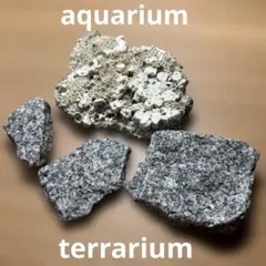 【即日発送】水槽用天然グレー石　4個セット