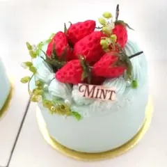 No.F27 ミント味のデコレーションケーキ　(単品)