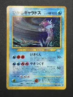 2026年最新】ひかるギャラドスの人気アイテム - メルカリ