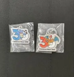 ポケモン 30周年 メタルチャームマスコット　 リザードン　カメックス