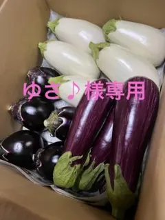 ゆさ♪様専用商品　りんごあめなす