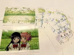 魔法少女まどか☆マギカ Key Animation クリアファイル 複製原画