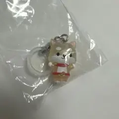 ジェオチャム　めじるしアクセサリー　まめちぃ