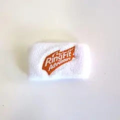 ホ10-61 ニンテンドー Ring Fit Adventure リストバンド