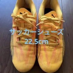 Item thumbnail for item 263c14c8-2df0-44a6-8e60-01c9f04be2de