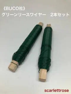 kinokino様 リクエスト 2点 まとめ商品