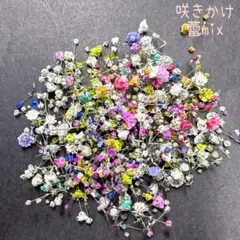 訳ありかすみ草カラードライフラワー200粒レジン、アクセサリー