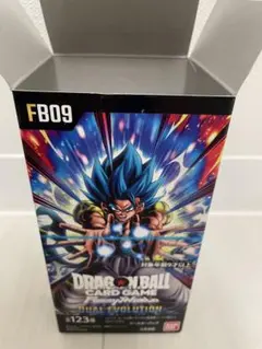 空箱 フュージョンワールド DUAL EVOLUTION ボックス BOX