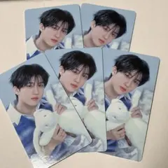 straykids スキズ 6期 ペンミ トレカ スペシャル チャンビン 5枚