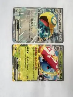 【ポケカ】アオキのノココッチEX ＆ エリカのラフレシアEX 空箱・ダメカン付のサムネイル