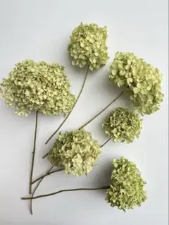 ちゅん 値下希望は希望金額提示様 リクエスト 5点 まとめ商品