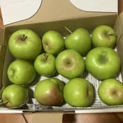 りんご　ブラムリー　クッキングアップル　箱込み1キロのサムネイル