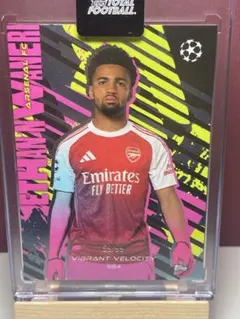 Item thumbnail for item 26885825-4338-47fa-af03-bf71f7a367ae