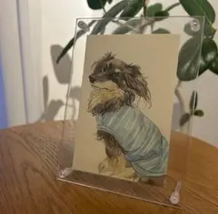 水彩画　『ダックスフンド』　フレームレス原画